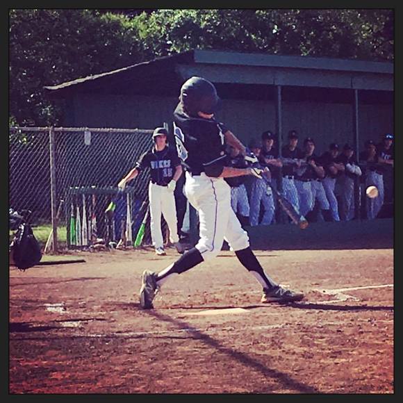 Meet your Posher, Bradlee - Picture 1 of 1